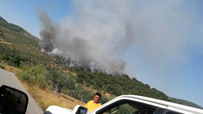 Incendio en la localiad de Lagunilla, próxima a la provincia de Cáceres