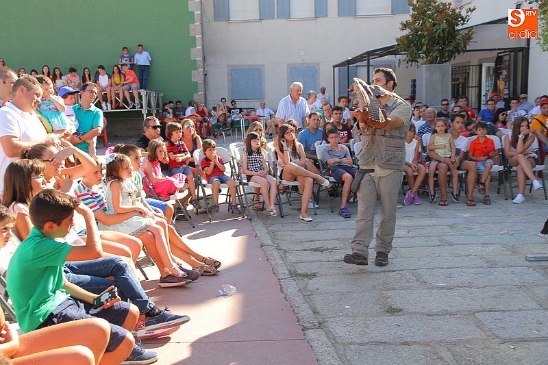 La plaza acogió la concurrida exhibición de aves rapaces.