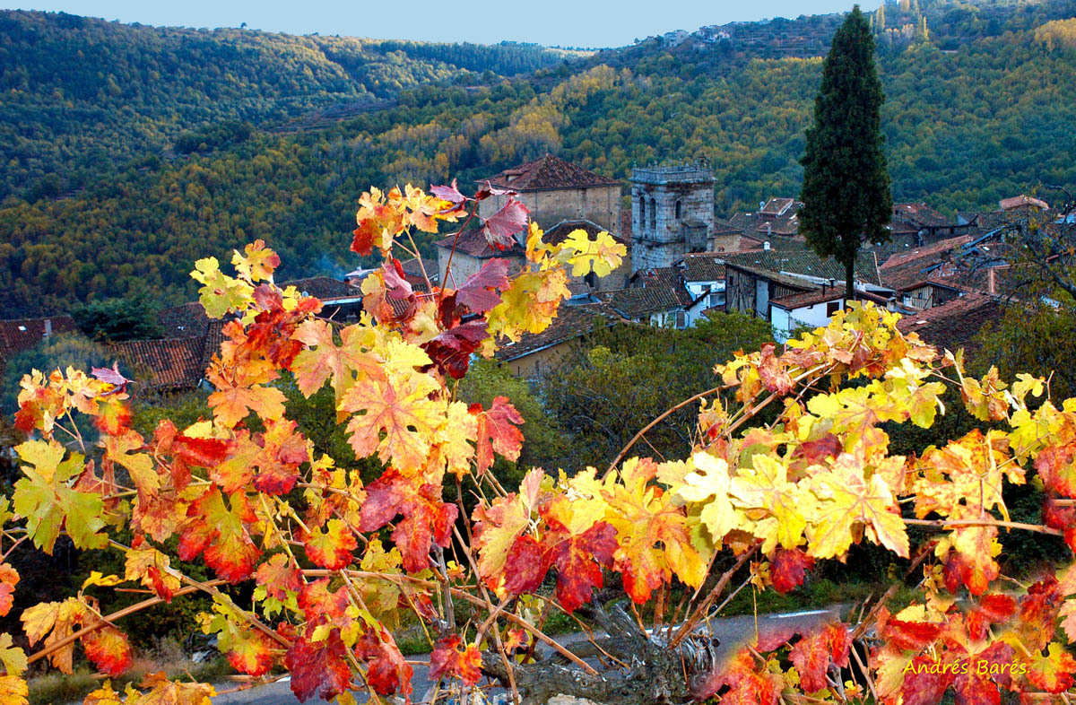 Las Nieves en Mogarraz