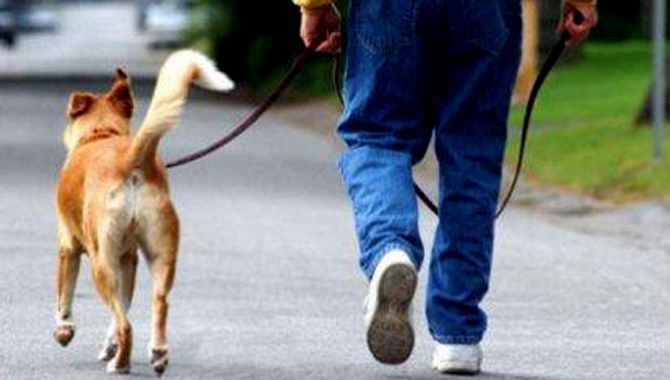 La mujer atacada se encontraba paseando junto a su marido en las inmediaciones de la plaza de toros La Florida