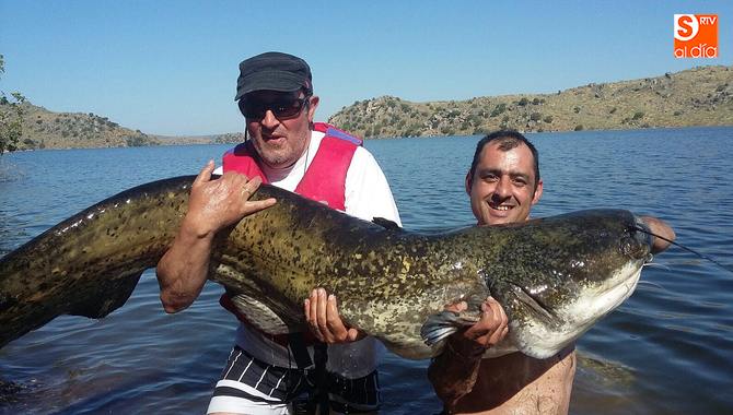 Extraordinario siluro capturado por Aitor en el embalse de Alcántara  