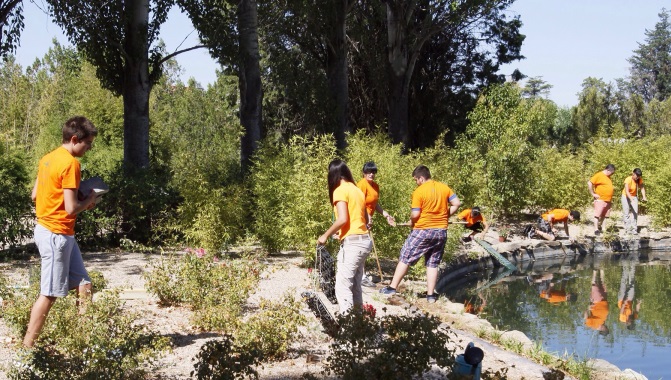 Más de 770 voluntarios han trabajado en Castilla y León