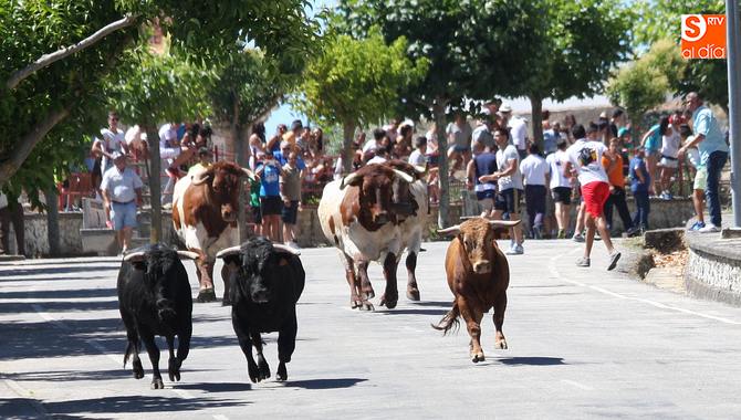 Auqnue la manada se partió con tres y un novillos, el encierro resultó sin incidentes