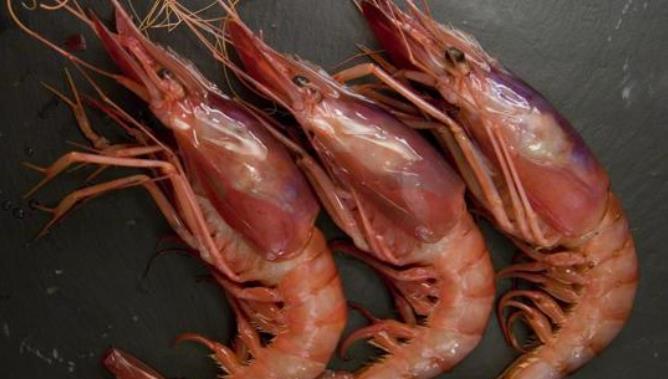 Gambas rojas. Foto: ABC