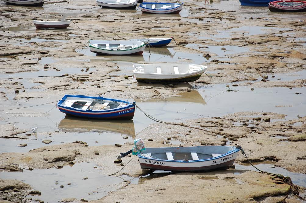 Por fin el hastío de estío