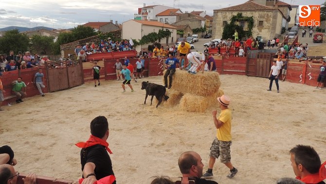 Tras el éxito del año anterior, la capea de vaquillas repite el próximo sábado