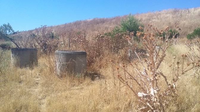 Área recreativa municipal de la finca La Salud