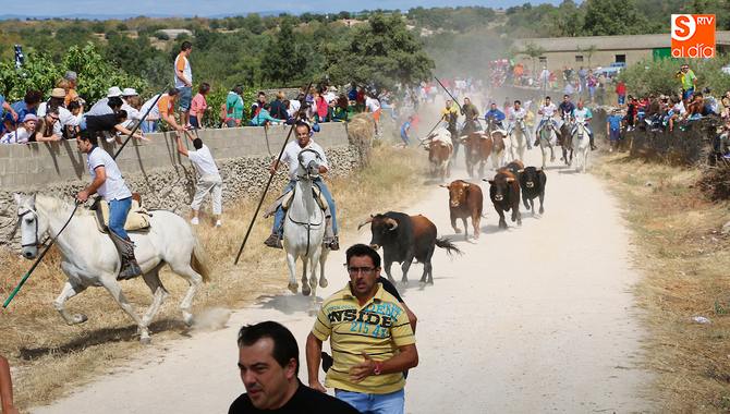Los encierros a caballo son seguidos por cientos de aficionados procedentes de toda la comarca del Abadengo