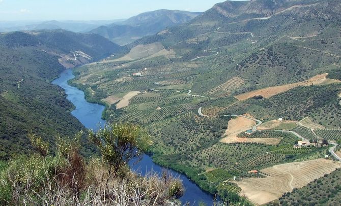 INICE organiza un Voluntariado Ambiental y Social en Hinojosa de Duero
