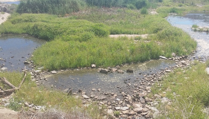 El PSOE pide al Ayuntamiento que limpie las riberas del Tormes