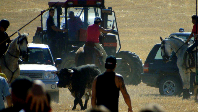 Decenas de caballistas participaron un año más en el encierro a caballo de Macotera. Fotos: José Guerras