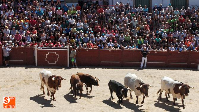 La manada de novillos y mansos entró agrupada a la plaza sin causar incidentes