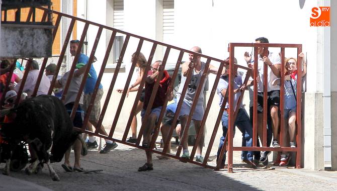 El novillo levantó el vallado y a punto estuvo de salirse del recorrido con varias personas en la calle, incluso una en silla de ruedas