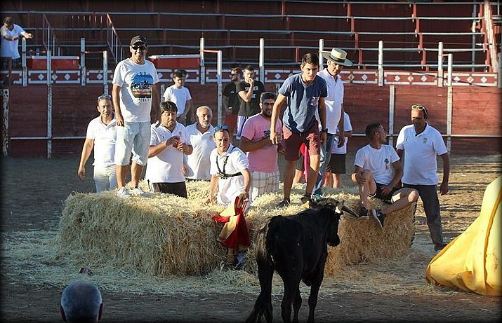 Los aficionados esperan a la vaquilla desde las alpacas de paja
