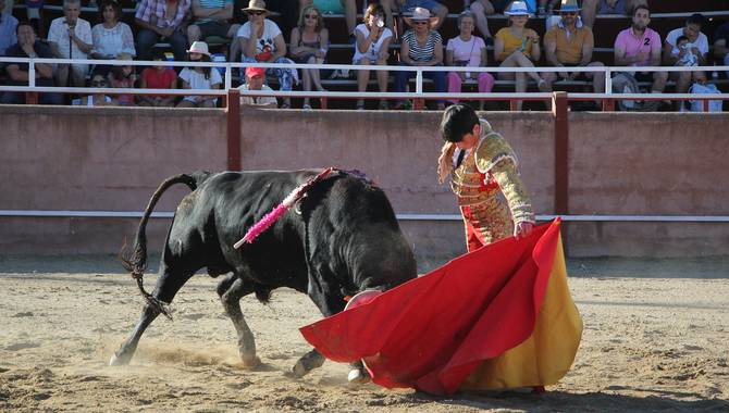 David Salvador no vio con claridad el pitón izquierdo de su primer oponente / CORRAL