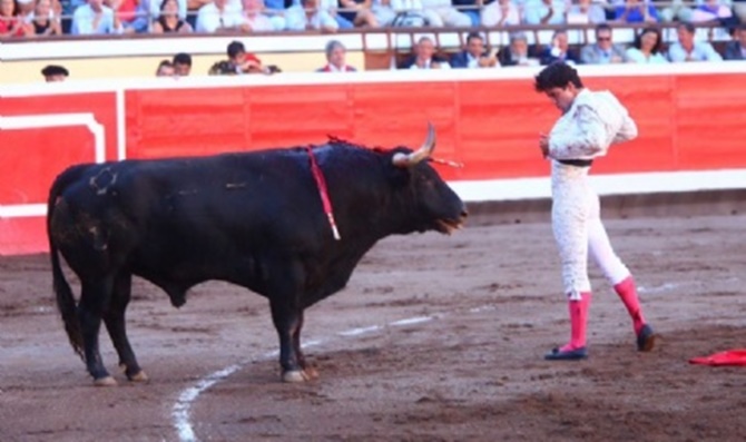 El diestro salmantino Juan del Álamo