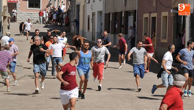 La emoción se palpó en la calles con los novillos de Miranda de Pericalvo / REP. GRÁFICO ENCIERRO: INFOTUR