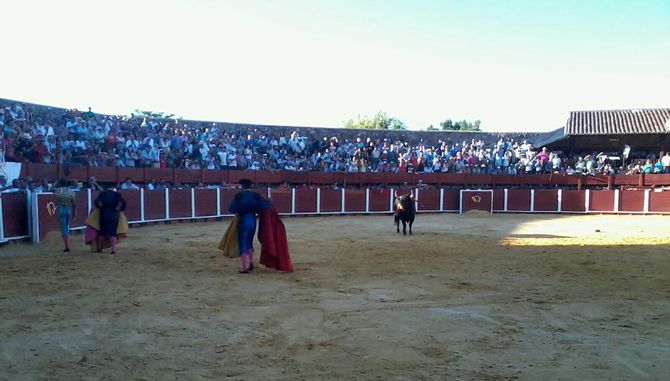 Toro indultado por Juan Leal. Foto: Ana Vicente