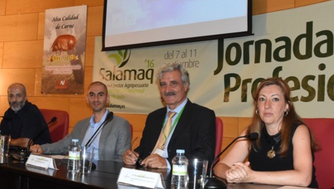 Presentación de los proyectos de investigación