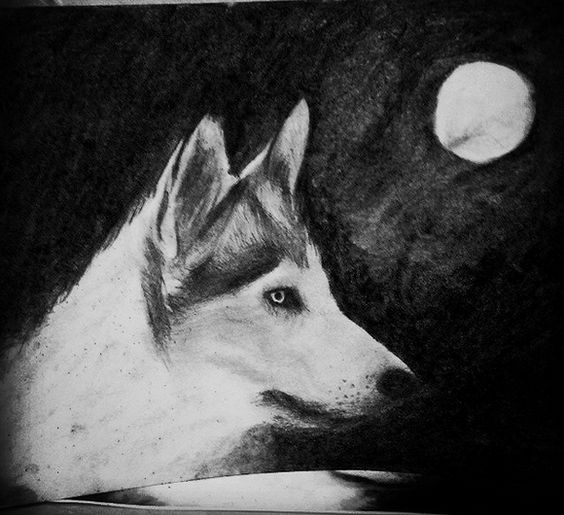 Zamira ama los lobos