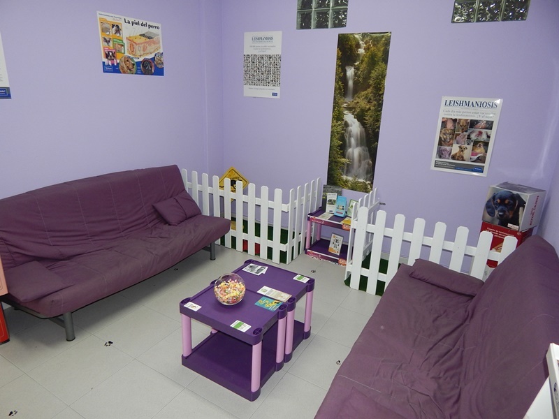 Clínica Veterinaria Villamayor, instaladas adaptadas a tus mascotas