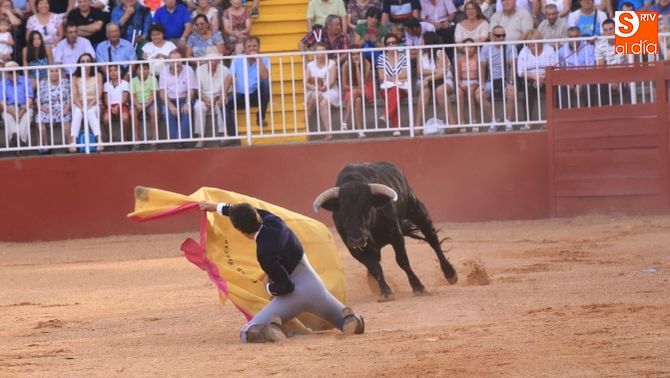 Tercera jornada para alumnos de Escuelas Taurinas. Fotos: Alberto Martín