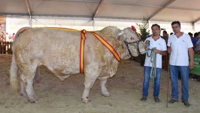 Brillante concurso para el ganadero salmantino de Boadilla con el campeón de la raza