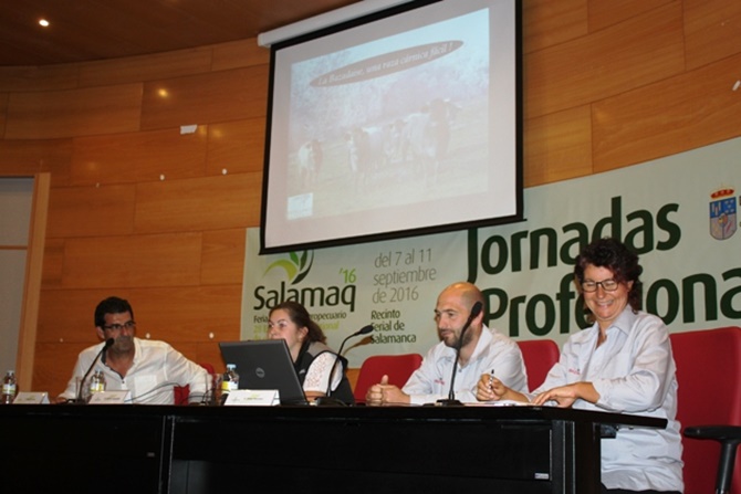 La raza Bazadaise, nueva alternativa para la ganadería extensiva