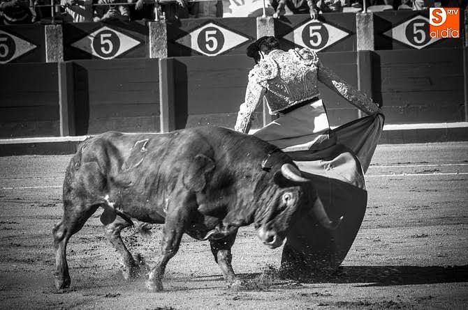 El toro Empedernido esta tarde en La Glorieta | Foto: Adrián Martín