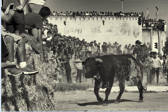 Primer premido del III Concurso de Fotografía Taurina San Roque 2016