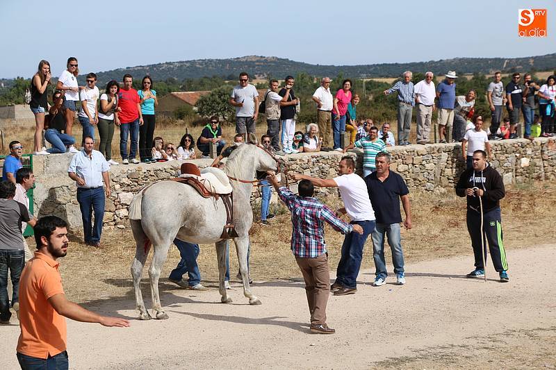 Accidentado encierro en Bañobárez con un aficionado y un caballo heridos  