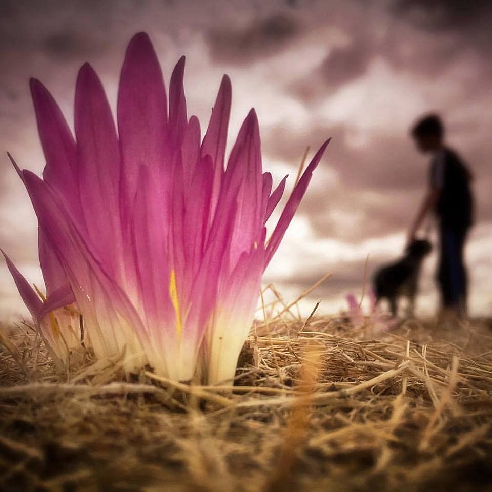 La ‘quitameriendas’ anuncia el otoño