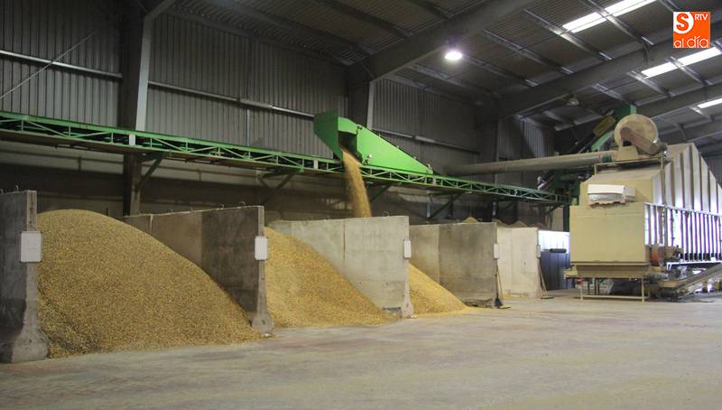 El cooperativismo presenta en la Comunidad una facturación total de unos 2.400 millones de euros / CORRAL