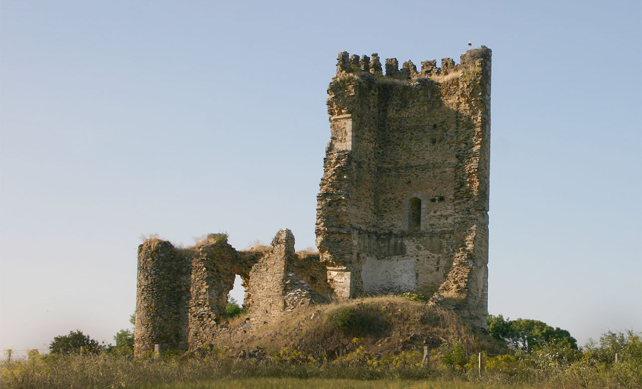 Imagen del castillo de Tejeda. Foto: Lista Roja del Patrimonio (Artesiver)