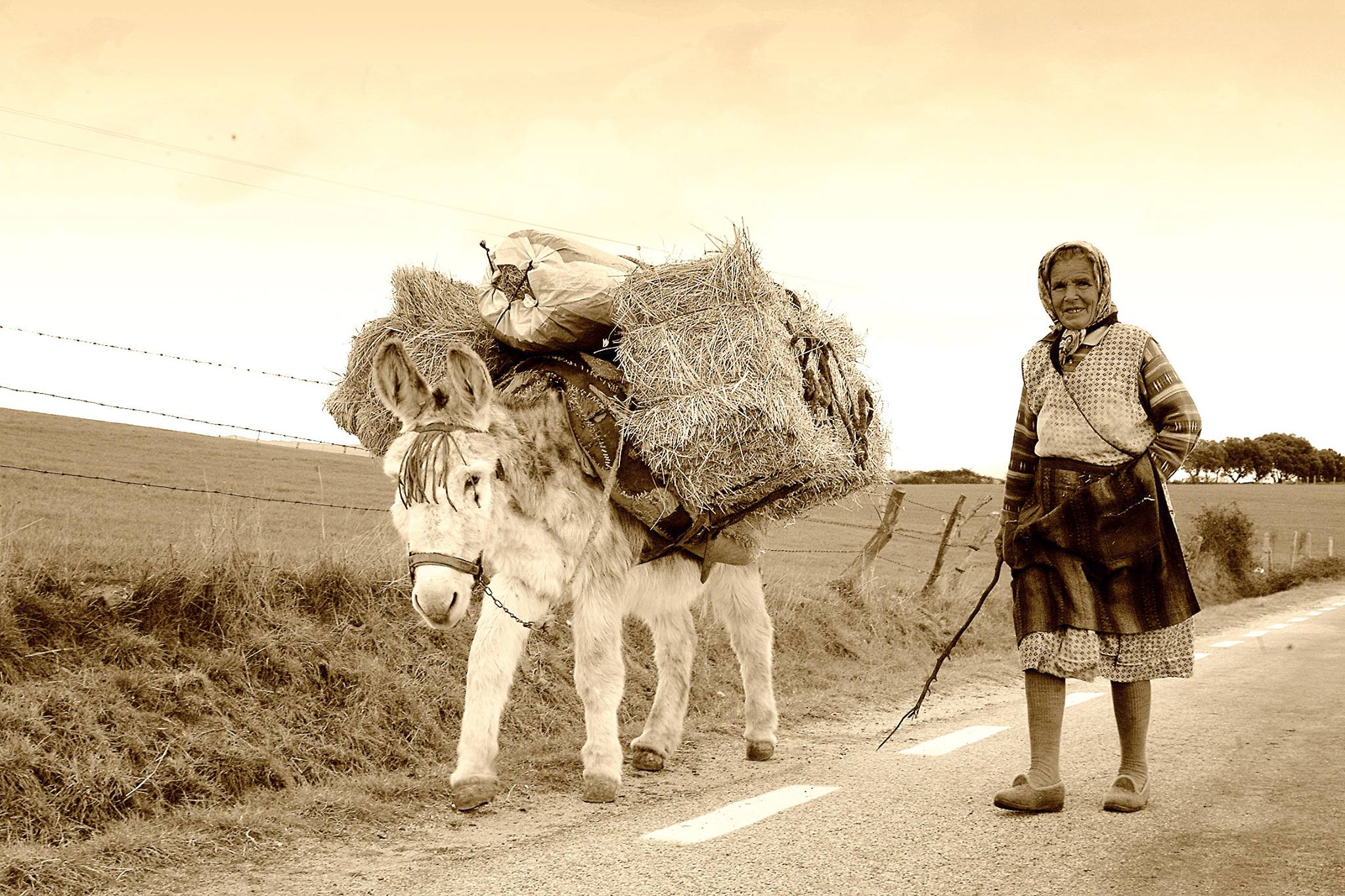 Lo esencial se ve de día