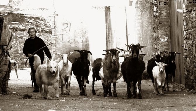 Liturgia de lo cotidiano