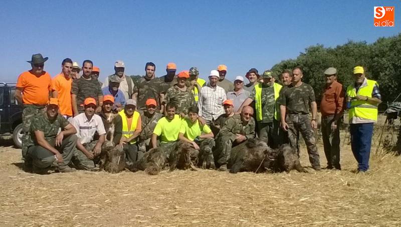 Buena montería en Lumbrales con seis jabalíes y nueve zorros de tapete  