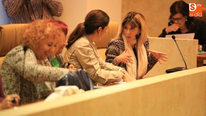 La reunión de la Comisión de la Violencia de Género se llevó a cabo en el Salón de Plenos / Foto de Alberto Martín