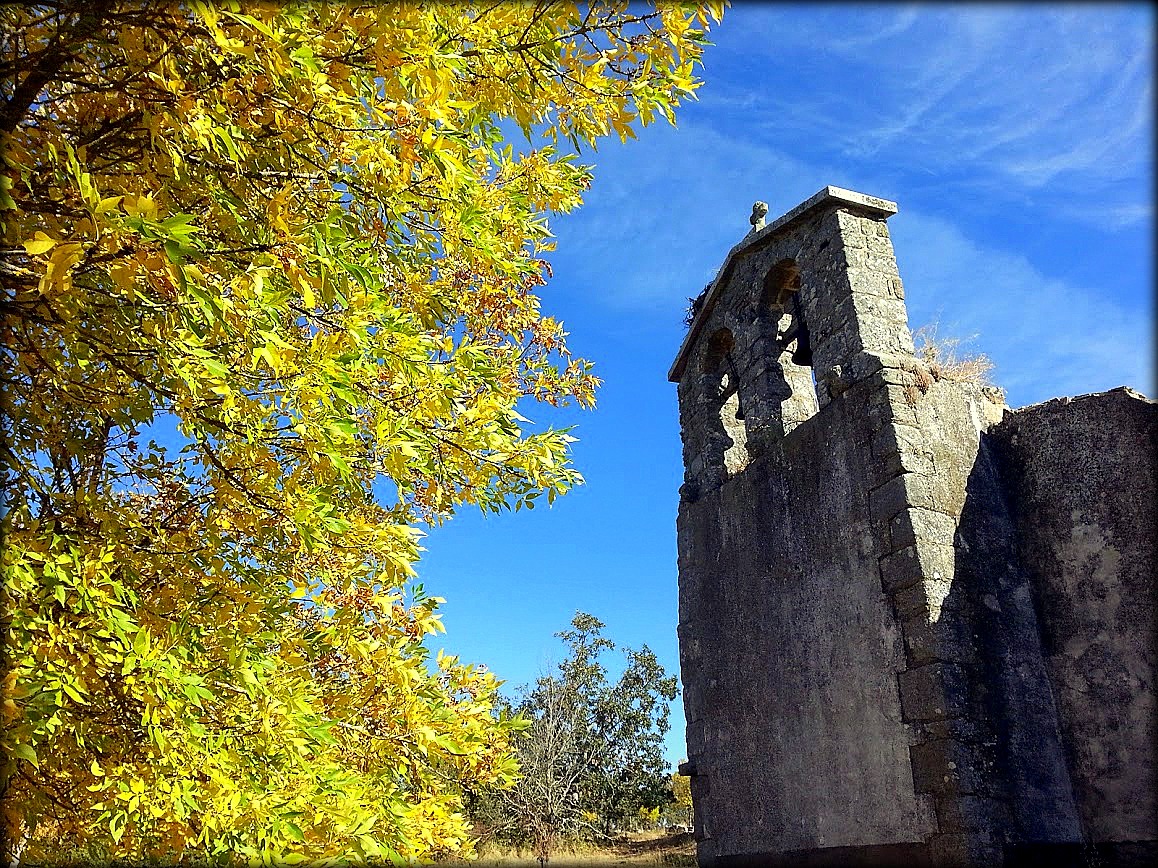 Las hojas del nuevo tiempo