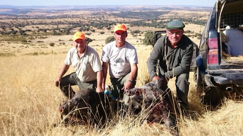 Tres de los cazadores posan junto a los jabalíes