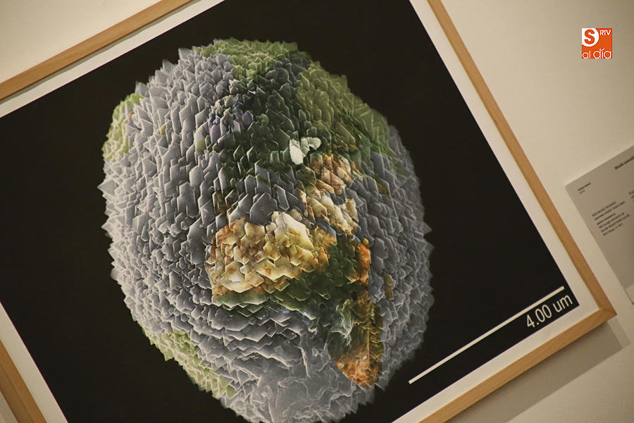 La mejores fotografías científicas del país se exponen en la Hospedería Fonseca