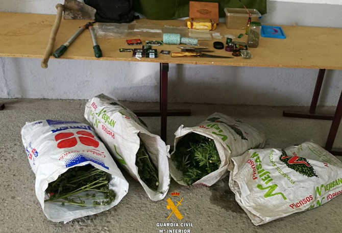 Plantas de marihuana y elementos para su cultivo y poda incautados por la Guardia Civil