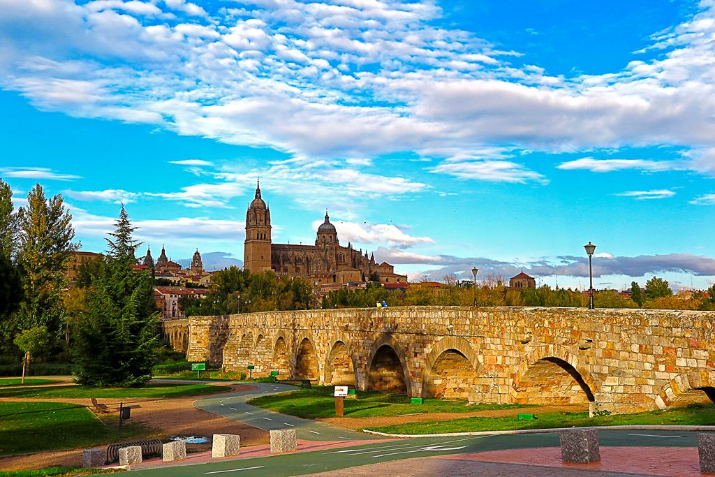 Del color de las hojas