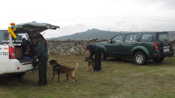 Se realizaron rastreos en el campo con la ayuda de perros especializados