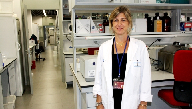 Ángeles Almeida, directora del grupo de Neurobiología Molecular, del IBSAL y del IBFG (Universidad de Salamanca y CSIC) / Foto Dicyt