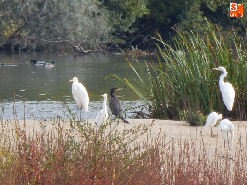 Estampas de un otoño inusual