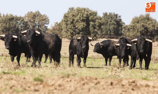 Reportaje fotográfico: PABLO ANGULAR