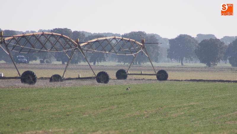 Los agricultores piden mayor presencia de la Guardia Civil en los campos / CORRAL