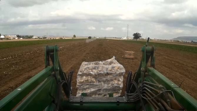 La Junta destina 4,3 millones a subvencionar proyectos de I+D+i que mejoren la productividad del...