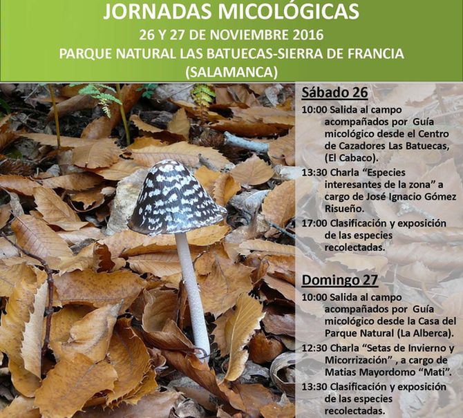 Las Jornadas Micológicas de la Diputación llegan al Parque Natural Las Batuecas-Sierra de Francia